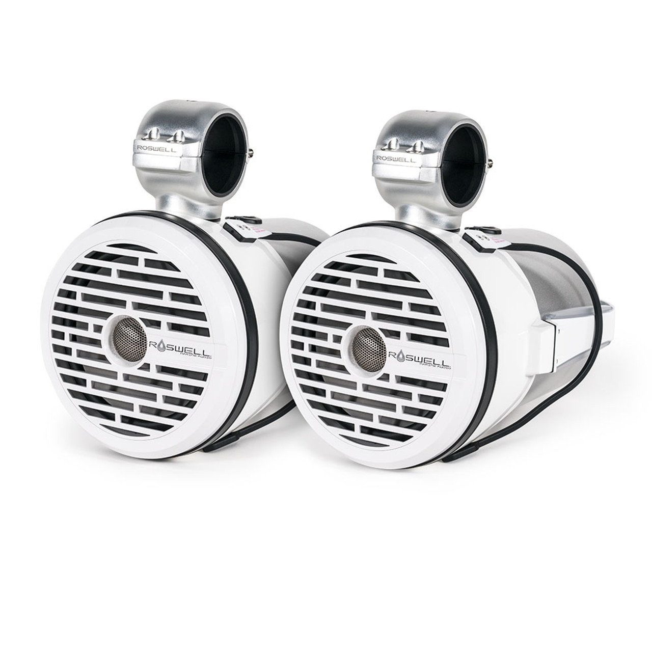 БАШЕННЫЙ ДИНАМИК ROSWELL R1 8"