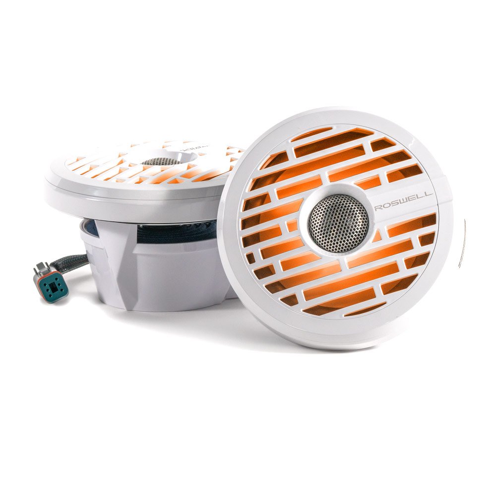 Морской динамик R1 6,5"