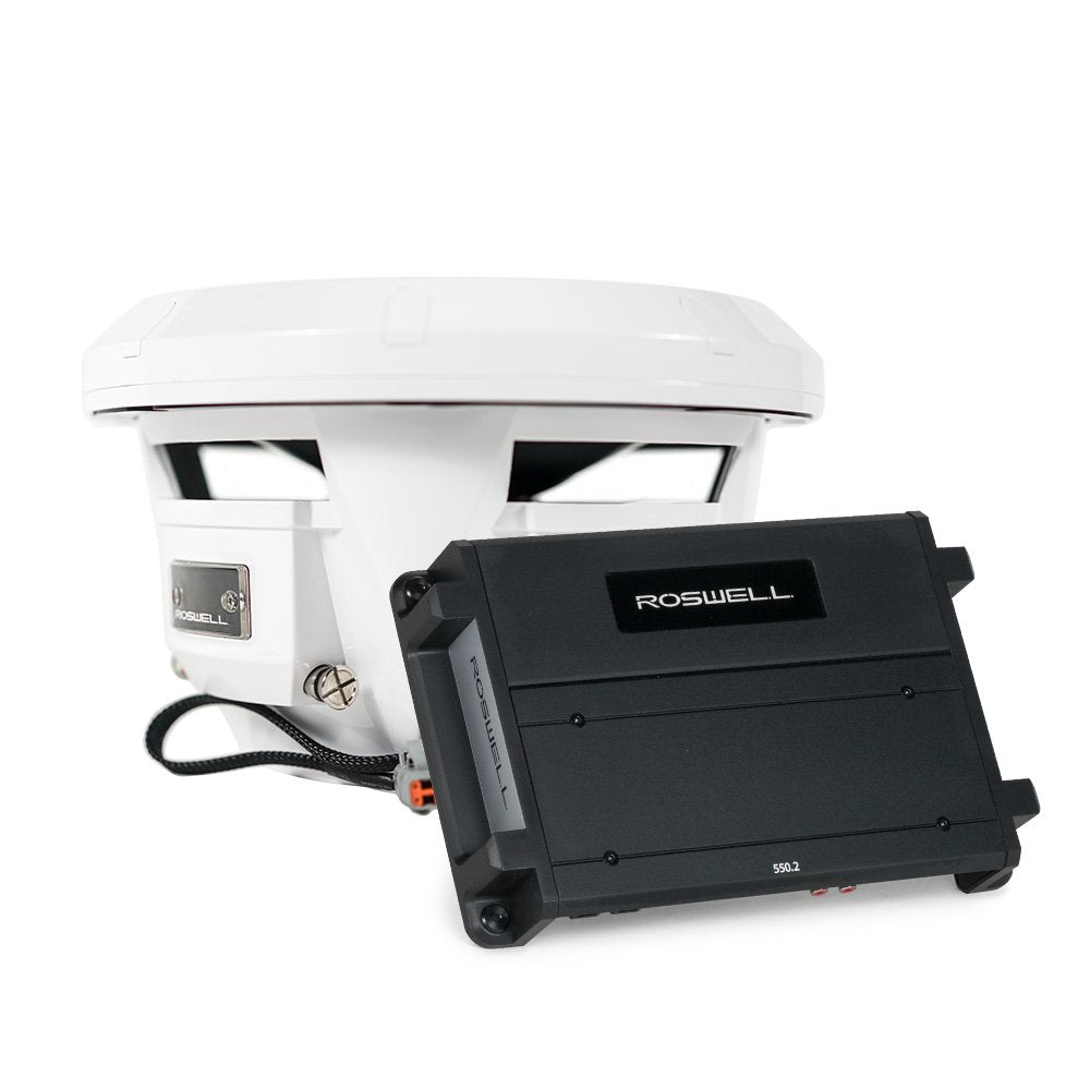 Комплектация сабвуфера R1 10"